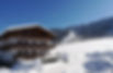winter1.jpg