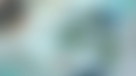 What are the real estate virtual assistant skills you need for your business