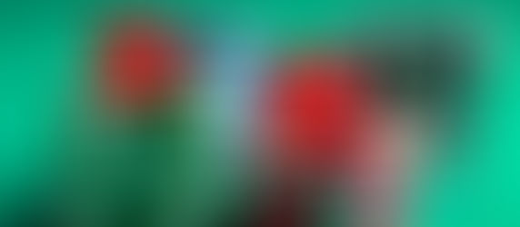 Tai Xiu Bip La Gi? Đung Bi Lua Doi!