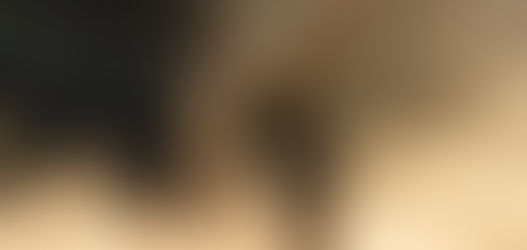 Hard Work Pays Off—In Christ’s Timing