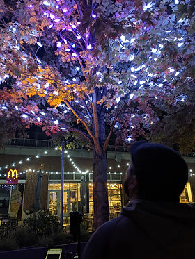 PXL_20221015_044332300.MP (1).jpg