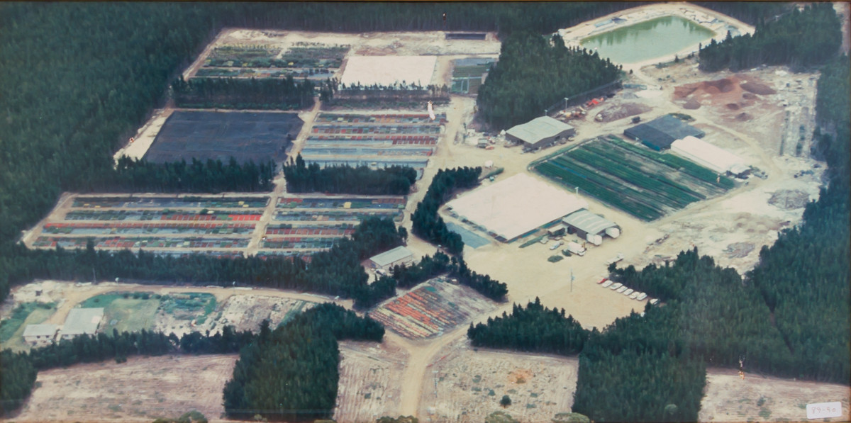 Westland Nurseries AerialsWEB104.jpg