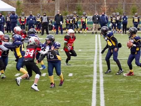 Cougars week continues: a look at the peewee D