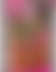 Pyramids, bloody hands and 'A Month of Sundays' : it's July, after all