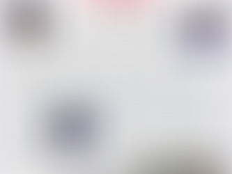 Spring Issue of the HAN