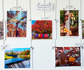 Fall Foliage exhibit_edited.jpg