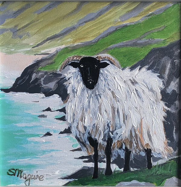 Shaggy Sheep.jpg