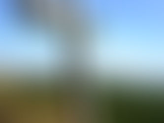 How One Columbia Resident's Faith Journey was Shaped by Curiosity