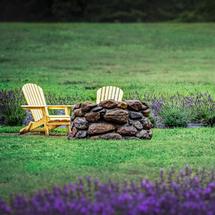 Thumbnail: Lavender Farm #1 Matted print