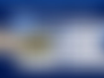 Zillow Showcase: La Ventaja de un Listado Premium