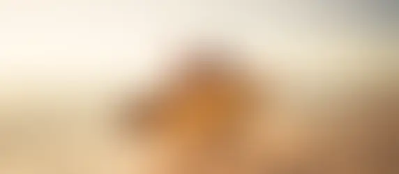 Outdoor Lifestyle, harsh on the skin.