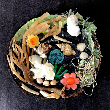 Seaweed plate.jpg