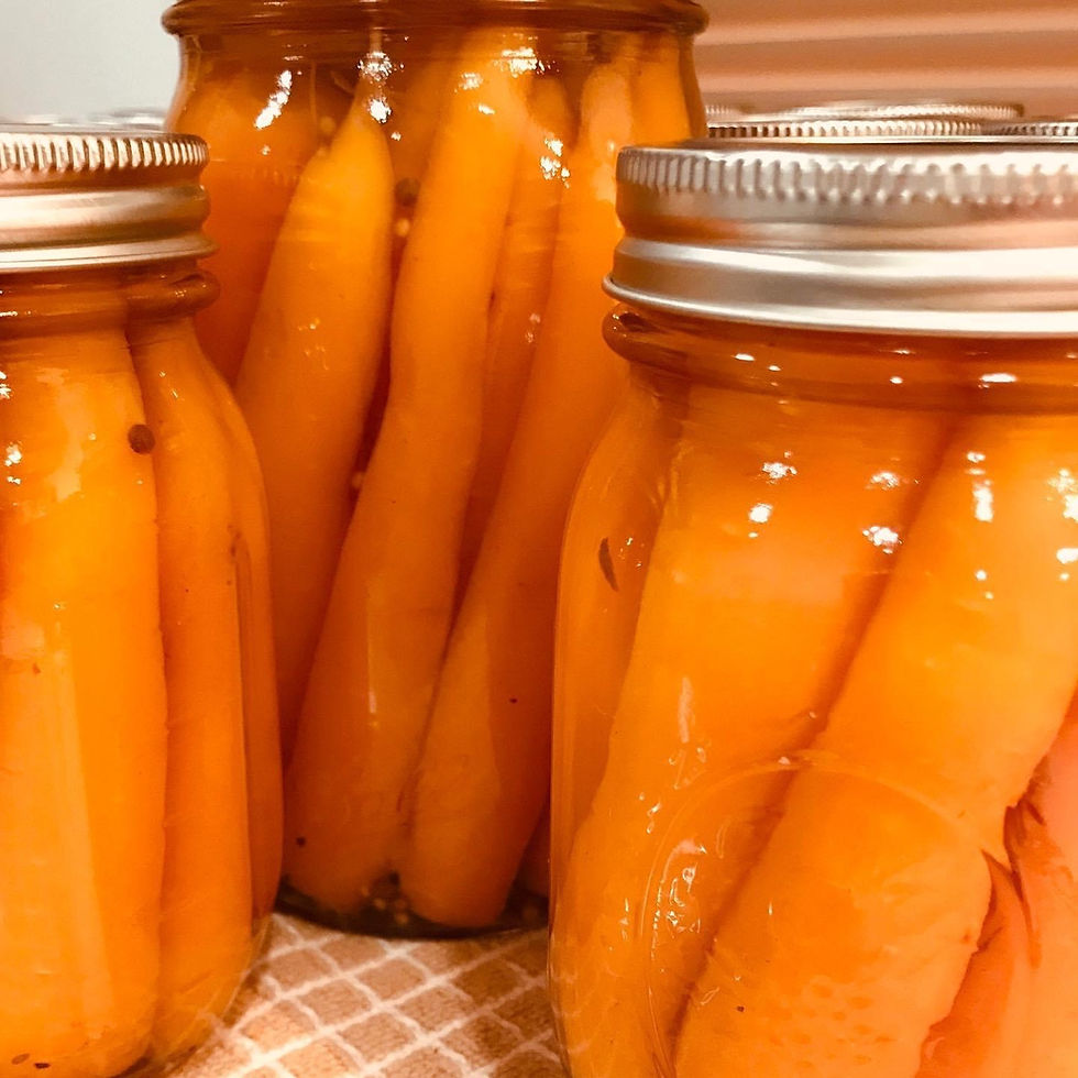 Pickles The Pretentious Pickle Company Plymouth