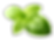 sprig of basil vector_edited.png