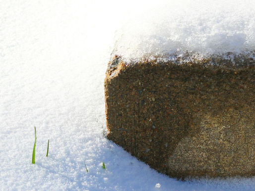 fliser vinter