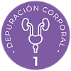 1_depuracioncorporal.png