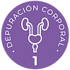 1_depuracioncorporal.png