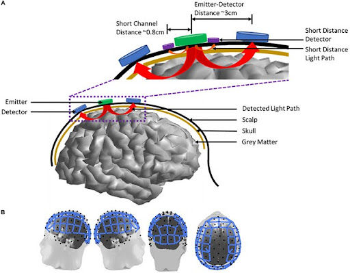 Courtesy of Chen, Wagner, et. al (2020); visual of the fNIRS headset, showing the pathways the near-infrared light travels in the brain