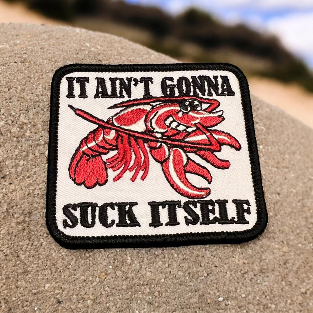 It ain't gonna suck itself " Patch/Hat