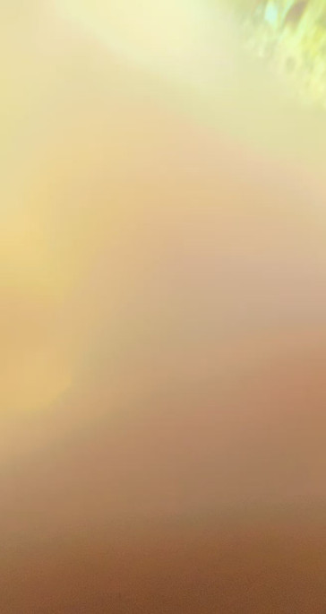 untitled image