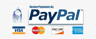leivys natural dmso zahlweise paypal zahlmethoden