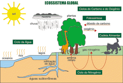 ciclo_de_matéria.gif