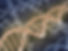 DNA_strang_blau_beige.jpg