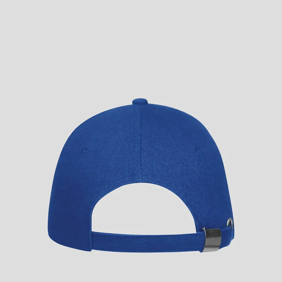 Miniatura: Boné de 6 painéis Buffalo