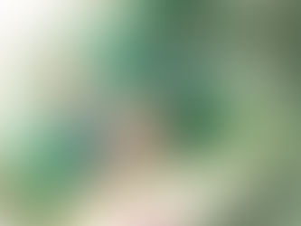 HAICAIS-ALVARO POSSELT