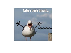 Let's Breathe - June is focused on breathing. Part 1