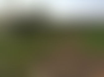 Global demand for glyphosate.