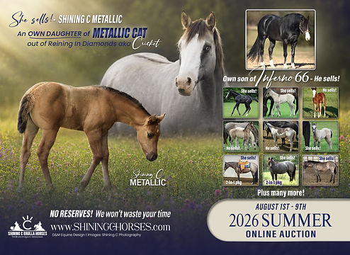 2026-Summer-Shining-C-auction-ad.jpg