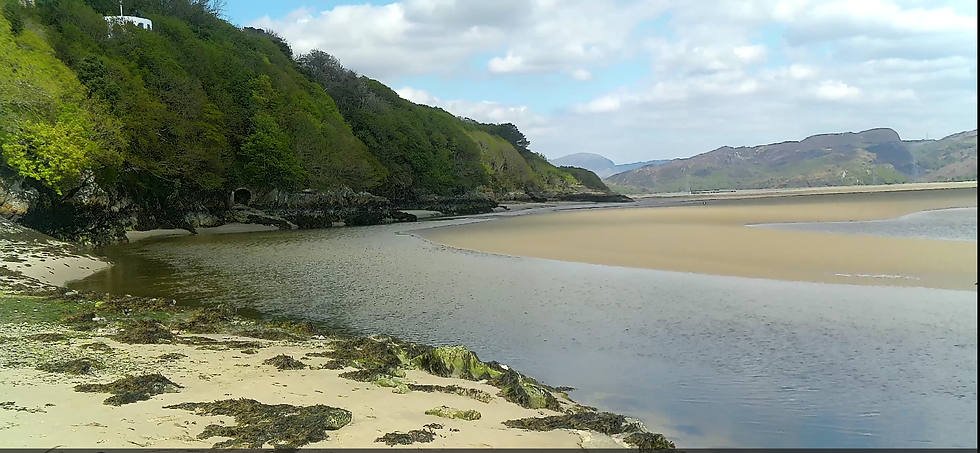 Flood and Ebb (video)