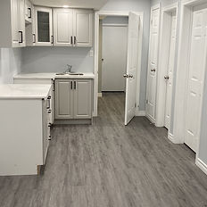 living room basement handyman