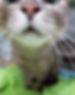 image0-6_edited.jpg