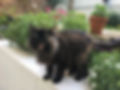 image2.jpeg