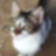 image0-4.jpeg