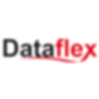 dataflex2