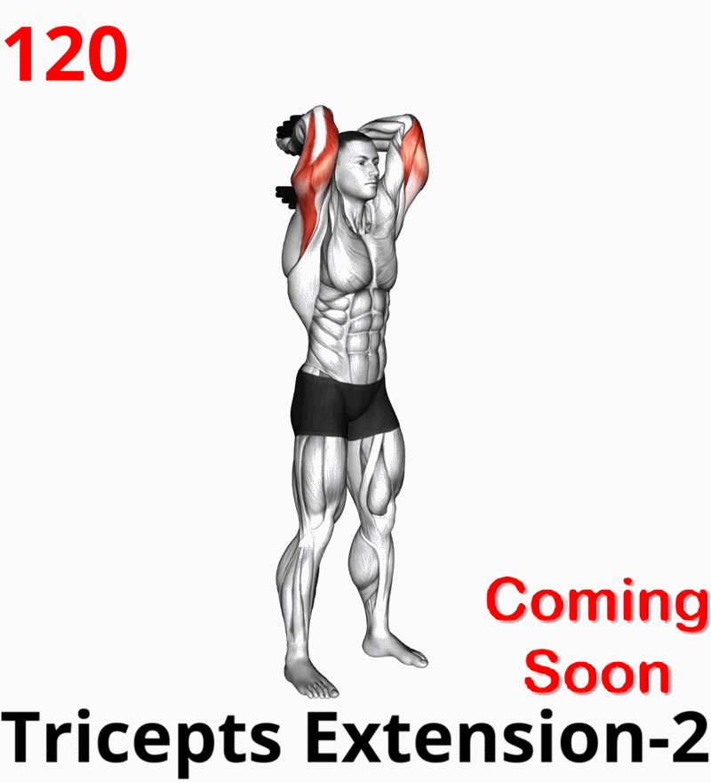1.05-9 Triceps Extension-01A.gif
