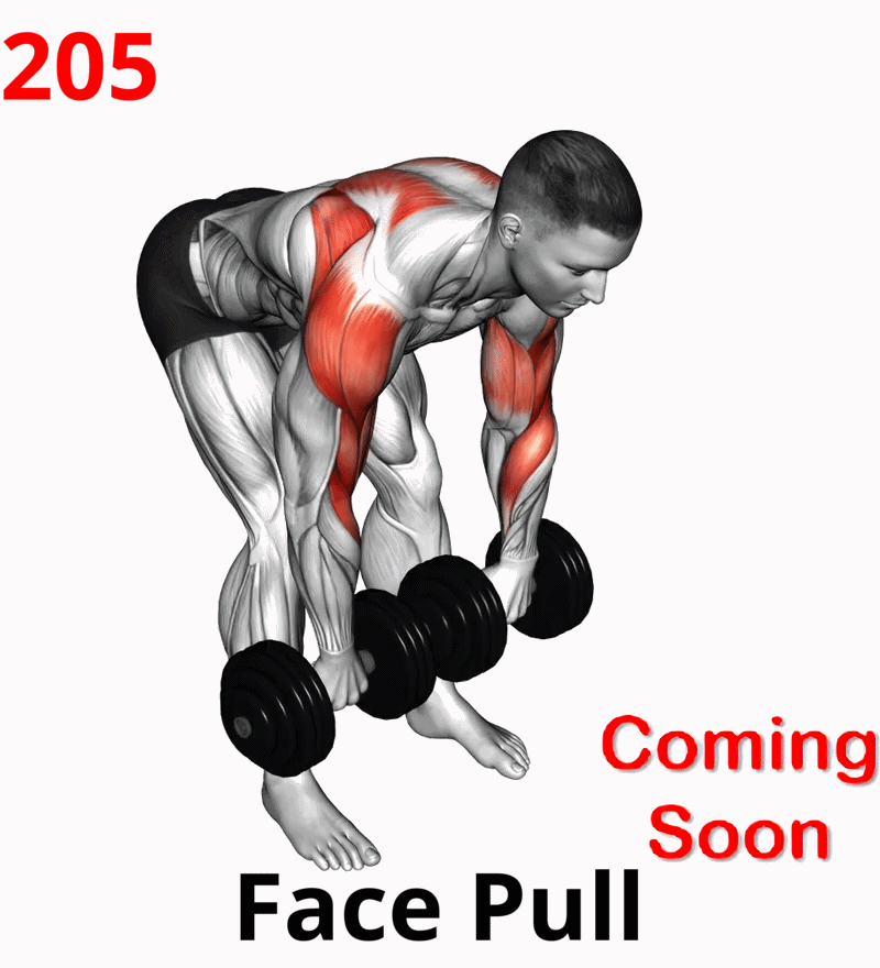 1.05-9 Triceps Extension-01A.gif