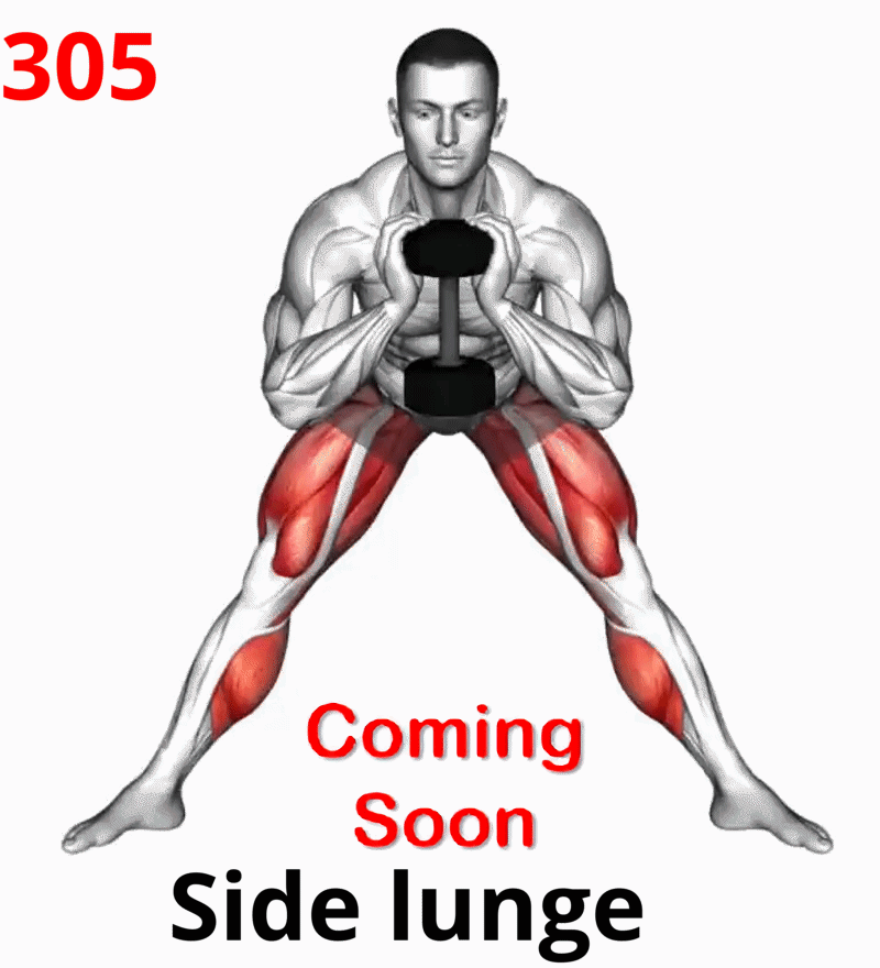 1.05-9 Triceps Extension-01A.gif