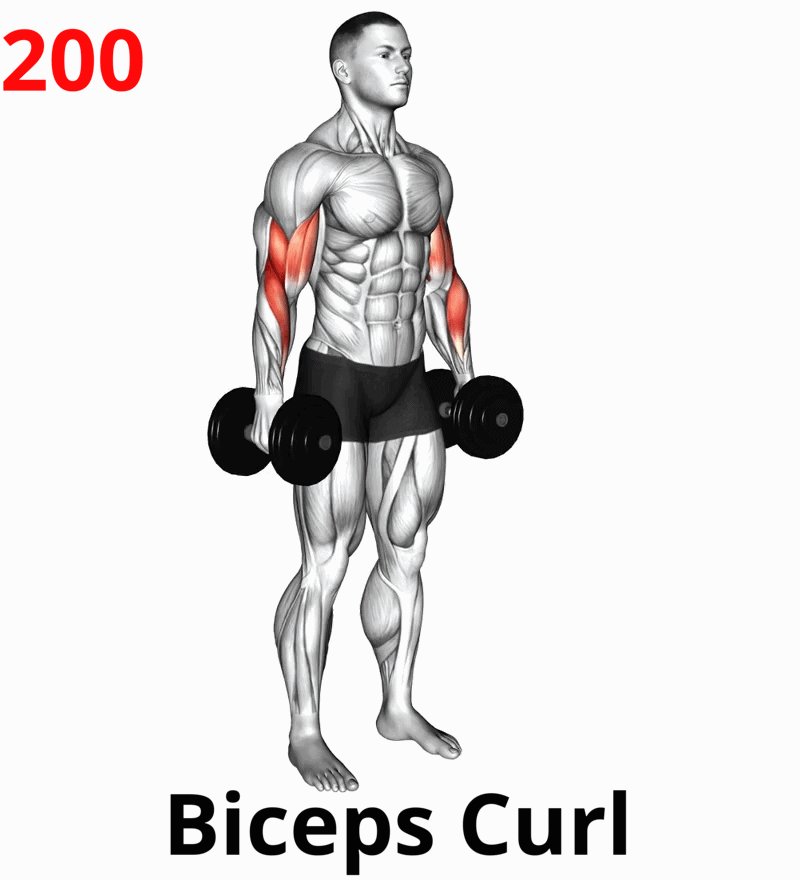 11 (Push) Front Rise-07a1.gif