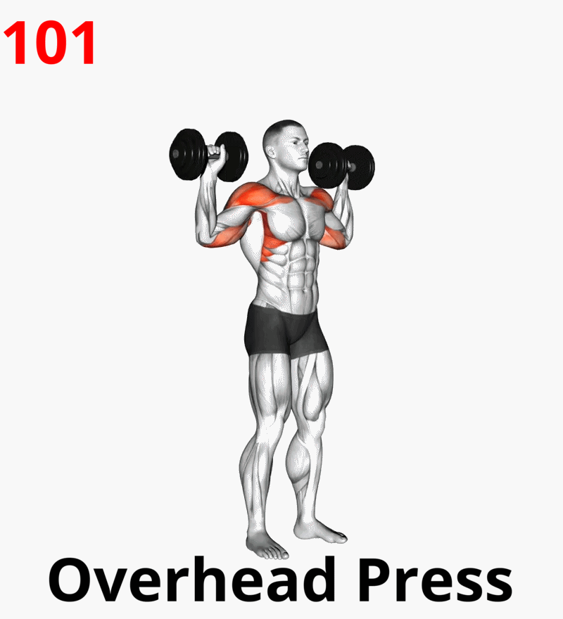 11 (Push) Front Rise-07a1.gif