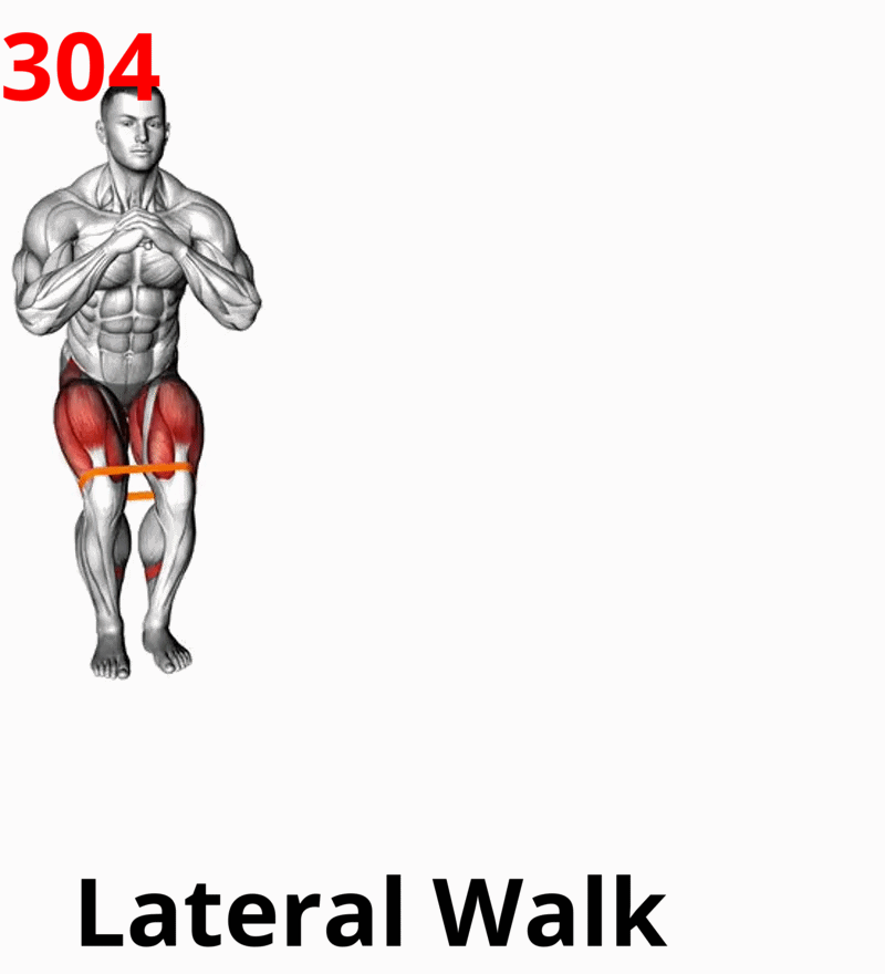 1.05-9 Triceps Extension-01A.gif