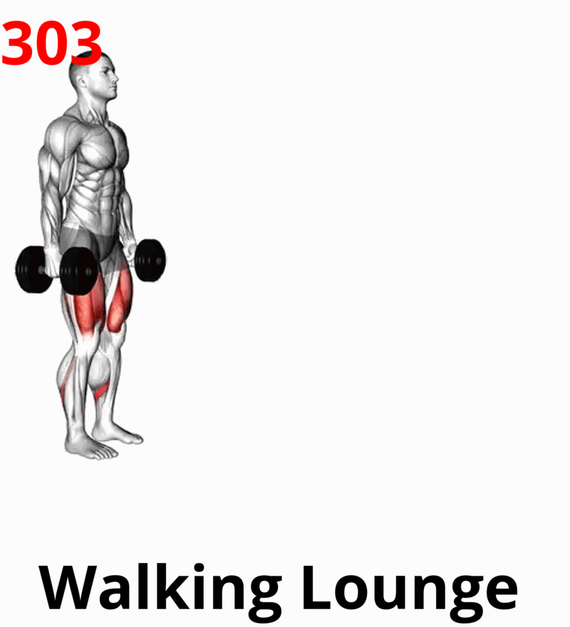 1.04-9 Chest Press-01A.gif