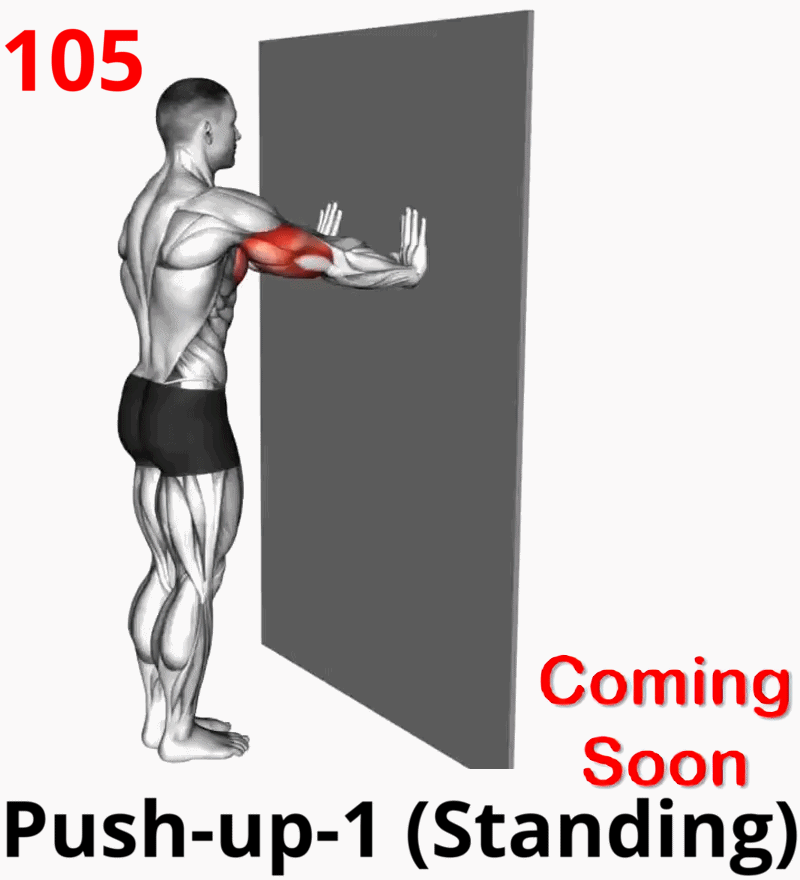 1.05-9 Triceps Extension-01A.gif