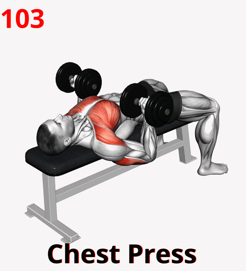 1.04-9 Chest Press-01A.gif