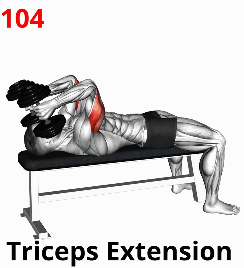 1.05-9 Triceps Extension-01A.gif