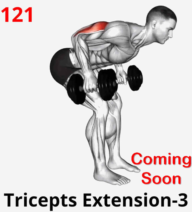 1.05-9 Triceps Extension-01A.gif