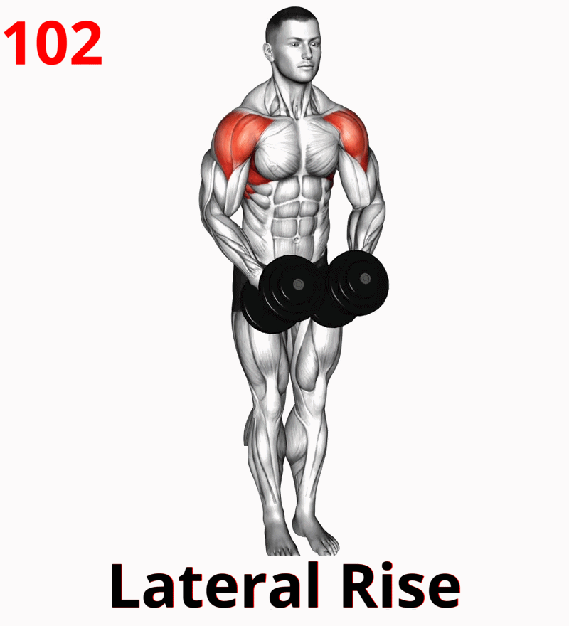 11 (Push) Front Rise-07a1.gif